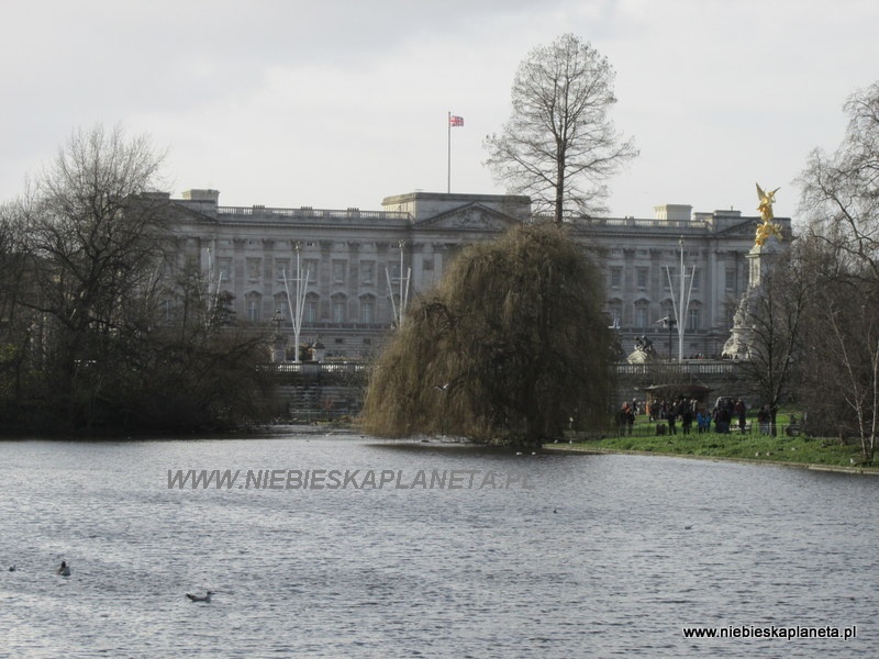 Widok na Buckingham Palace ze stawu w st James's Park 