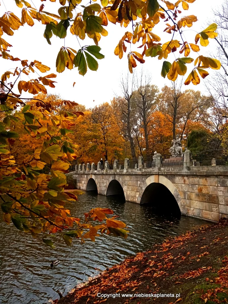 Łazienki w Warszawie. Gdzie najlepiej zdrobić zdjęcie w Warszawie?