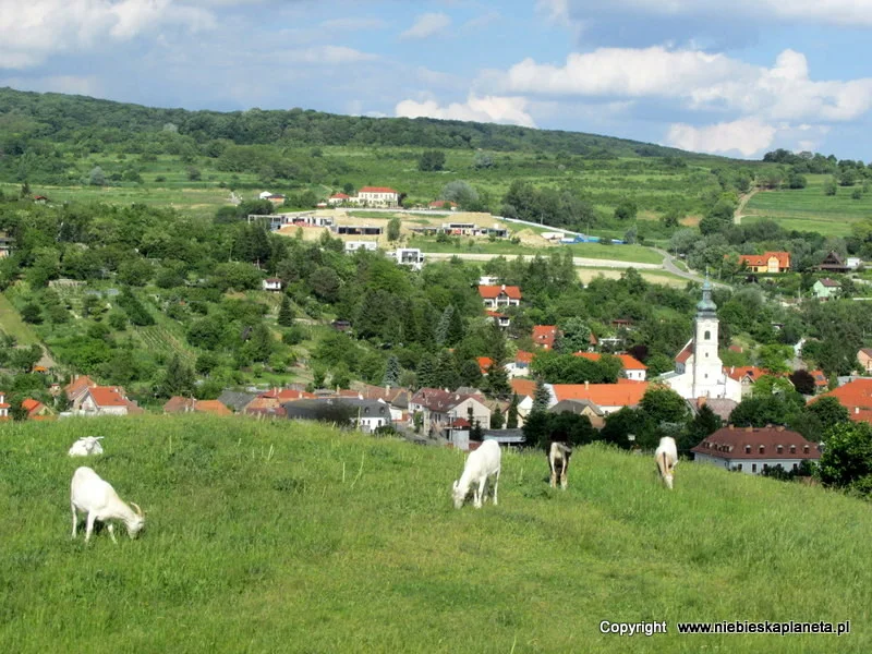 Widok na miasteczko Devin z Wzgórza Zamkowego
