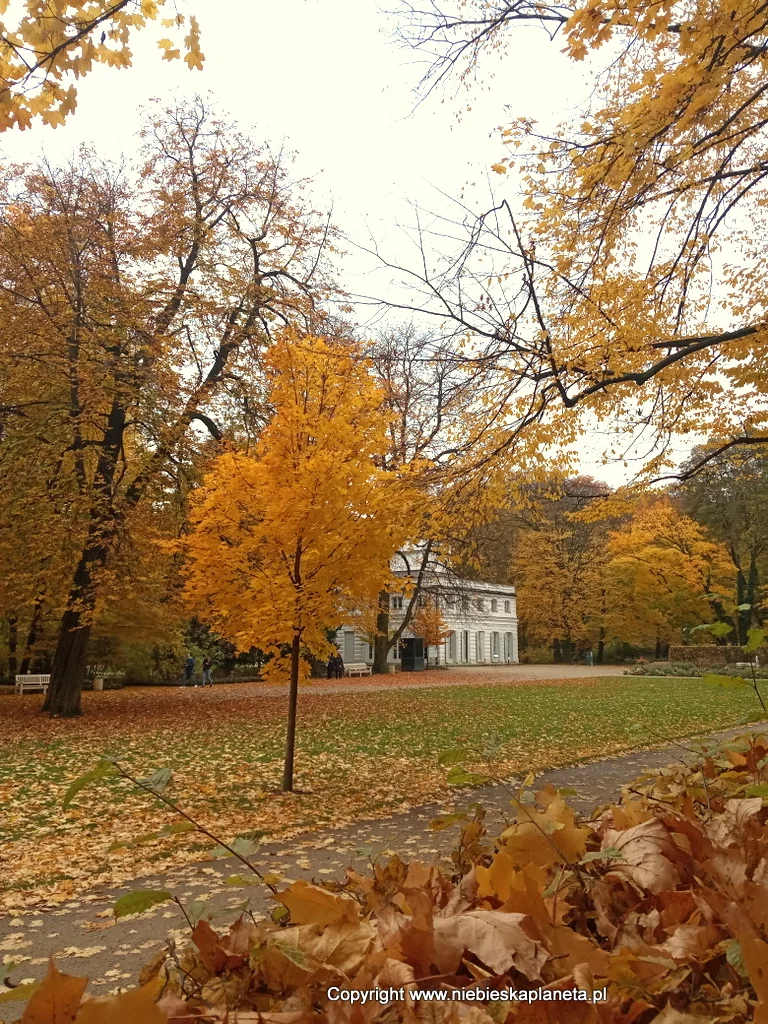 Biały Dom w Łaazienkach Królewskich