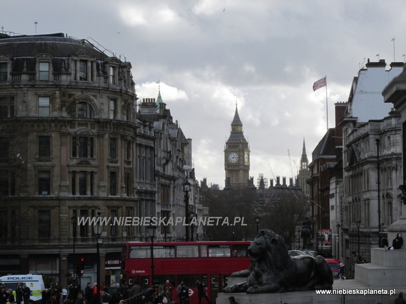 Trafalgar Square - Londyn