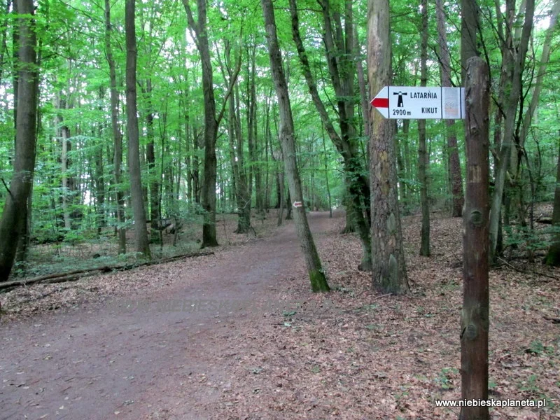 Z Wisełki możemy pójść dalej szlakiem czerwonym do Latarni Morskiej Kikut