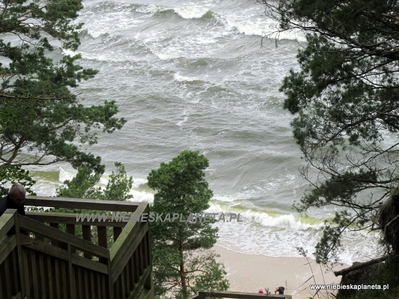 Widok z Kawczej Góry (61 m.)