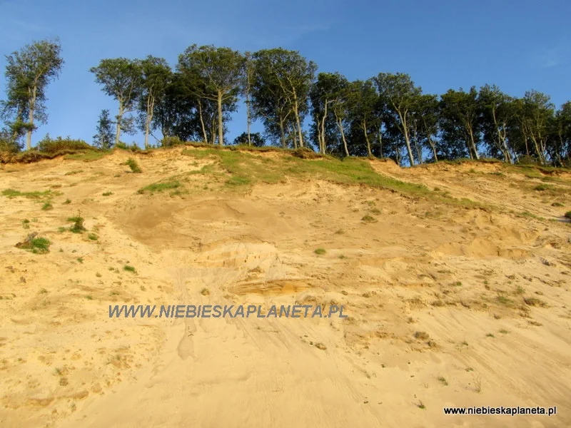 Urwiska klifowe dochodzą wysokością do prawie 100 metrów wysokości. 