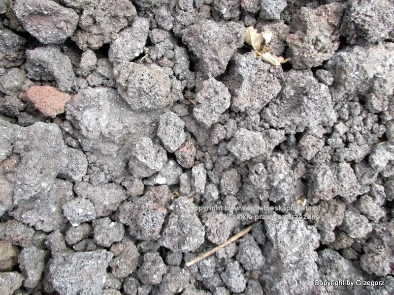 Wulkan Pacaya - Lawa