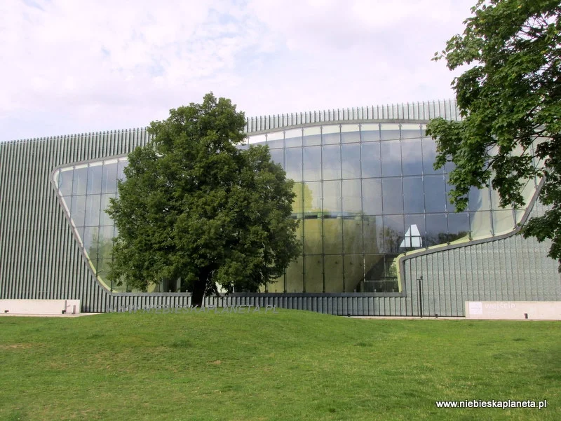 Muzeum Polin w Warszawie