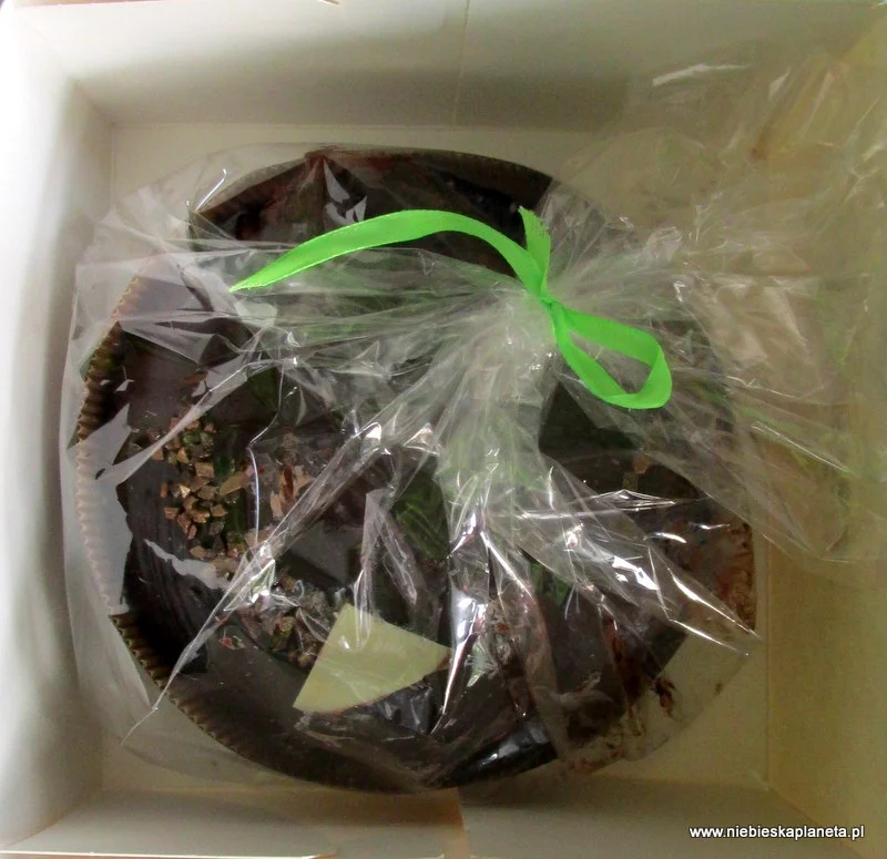 Tłusty Czwartek - pączki 