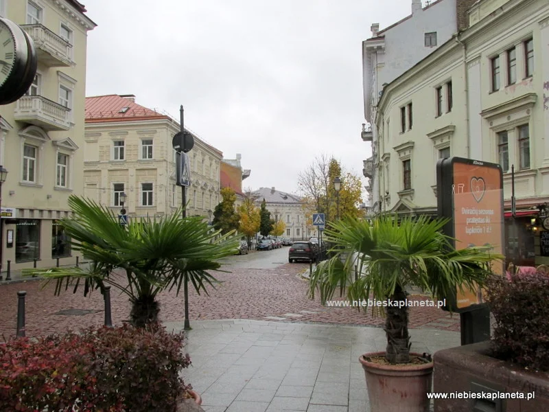 Wilno - Widok z ulicy Ostra Brama