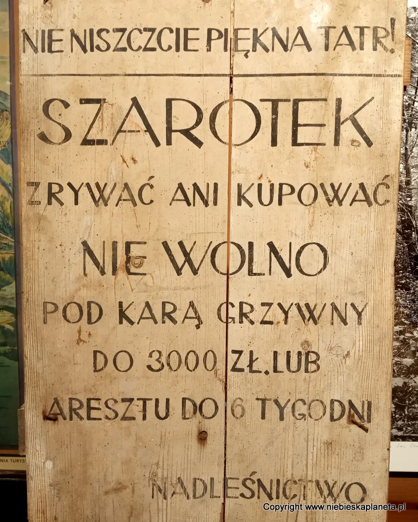 Dbajmy o przyrodę w Tatrach Ochrona Przyrody w Tatrach