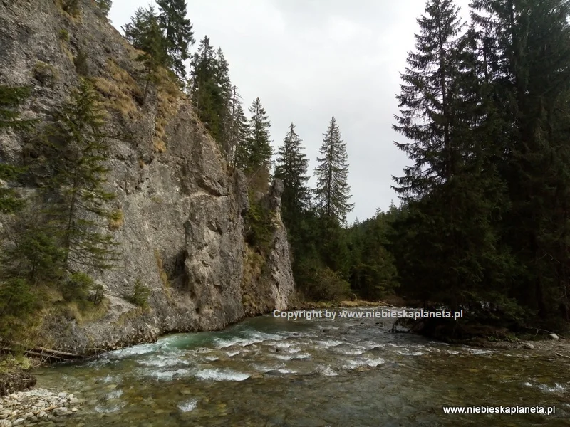 Dolina Chochołowska - Potok Chocholowski