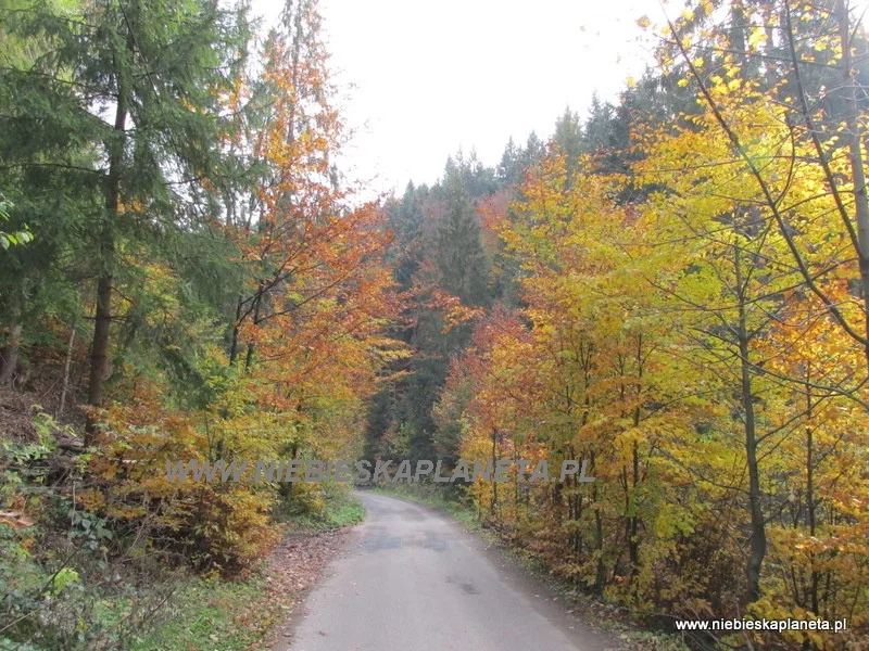 Szlak niebieski na Baranią Górę 