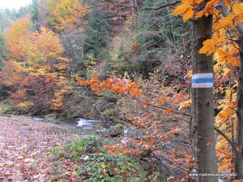 Szlak niebieski na Baranią Górę