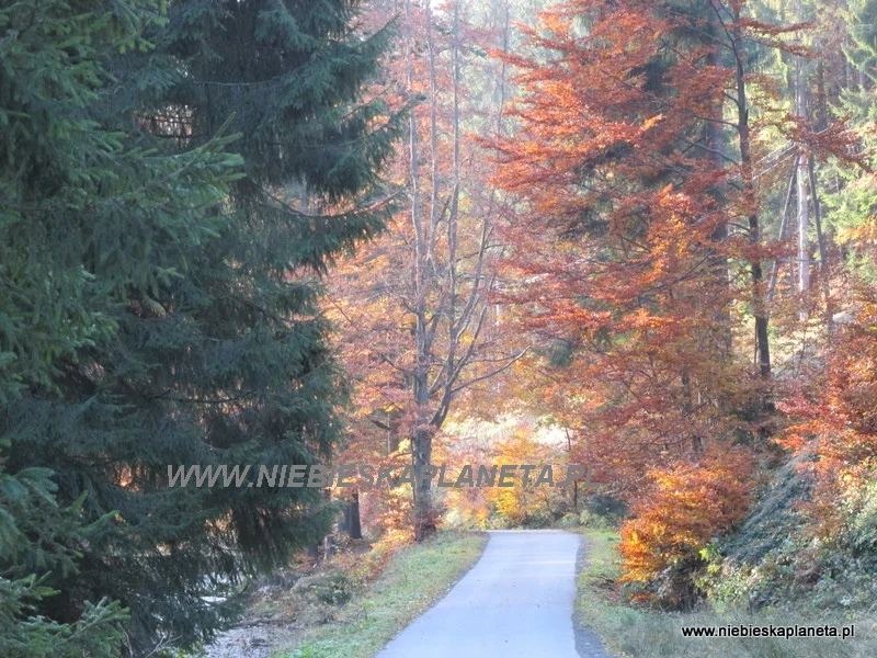 Szlak czarny z Babiej Góry