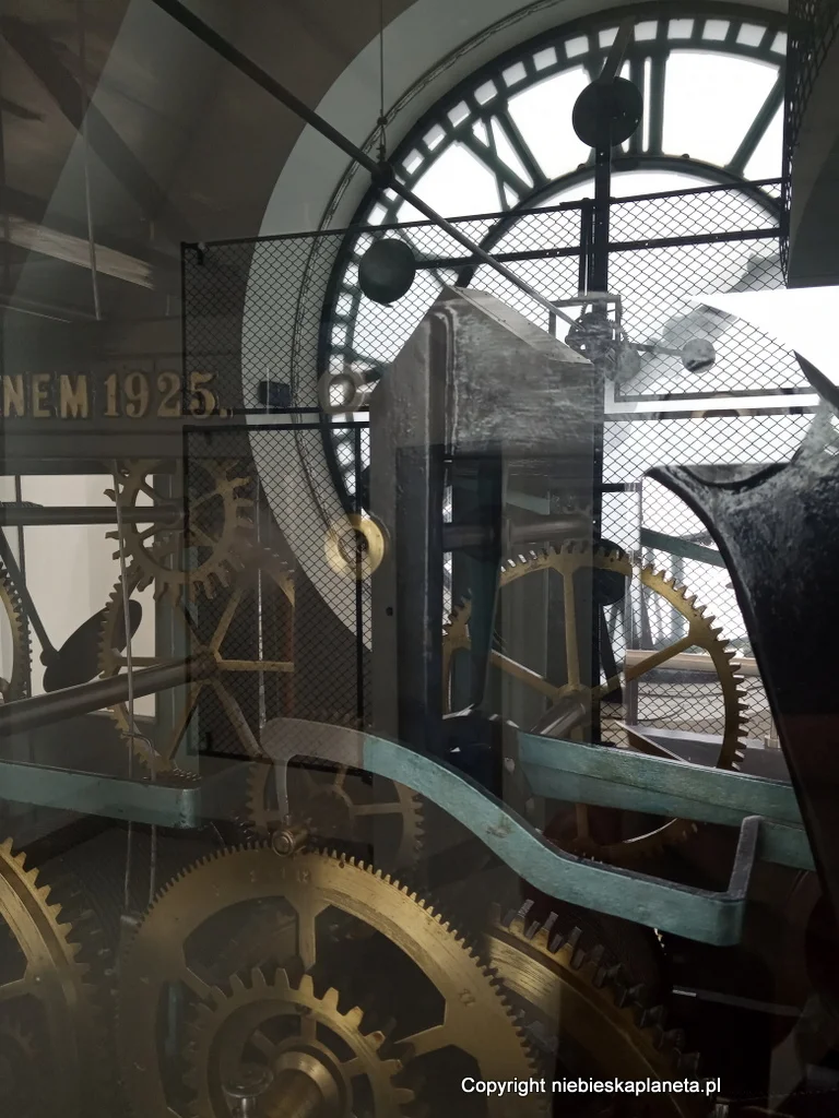 Kalisz zegar ratuszowy cennik biletów