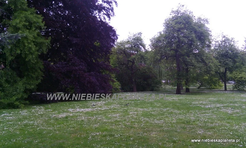 Wojanowskie Sady - Praga