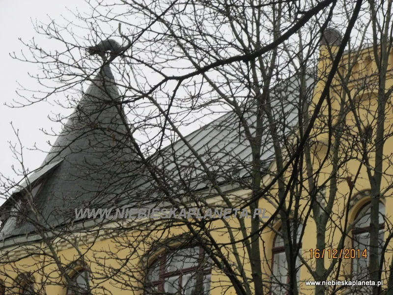 Ryga - Kamienica z kotem