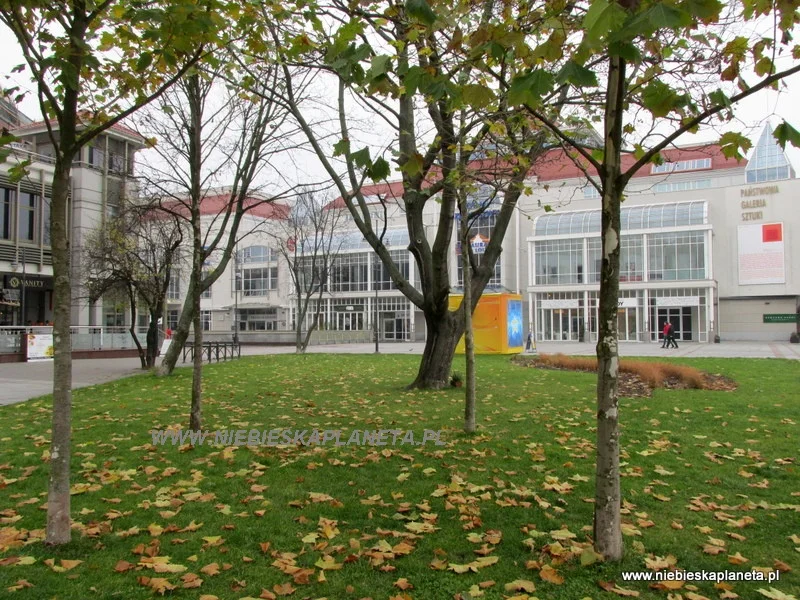 Dom Zdrojowy w Sopocie, na pierwszym planie platany 