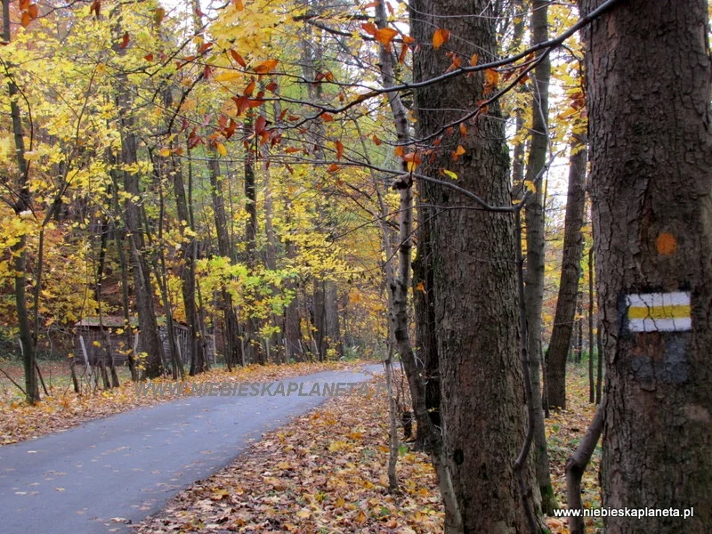 Żółty szlak na Szyndzielnię 