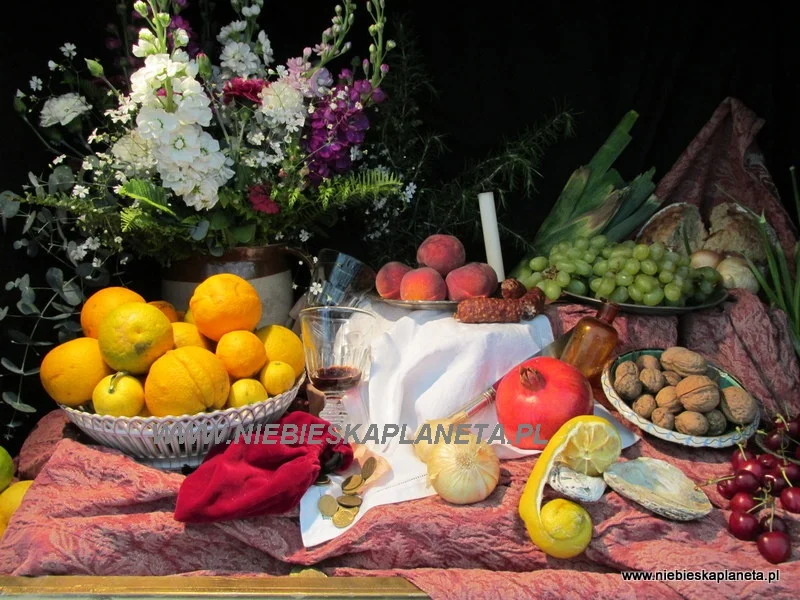 Schonbrunn - Kompozycja z cytrusów