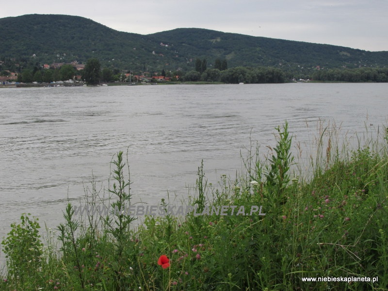 Dziki brzeg Dunaju w Wyszehradzie