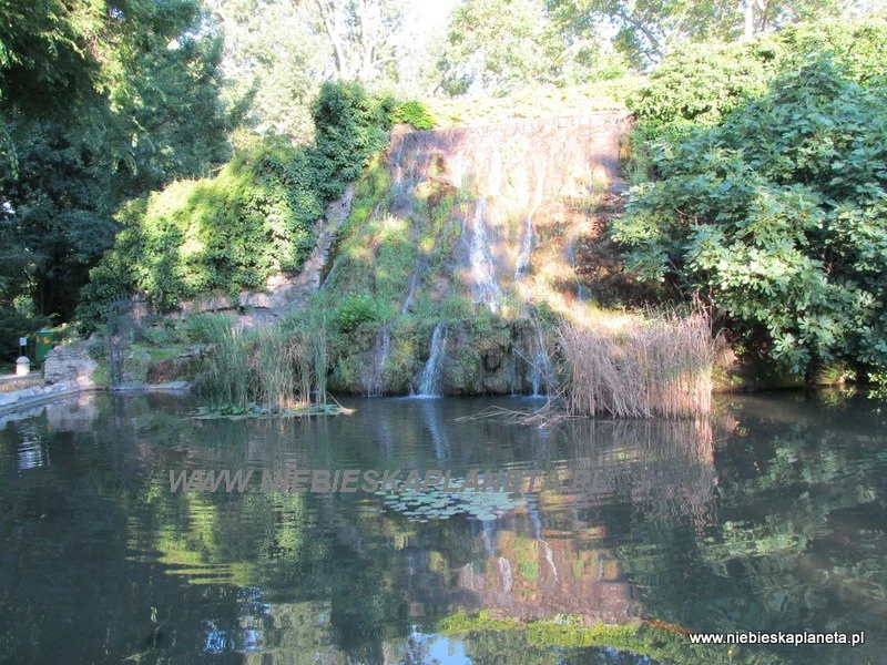Wodospad w Ogrodzie Japońskim